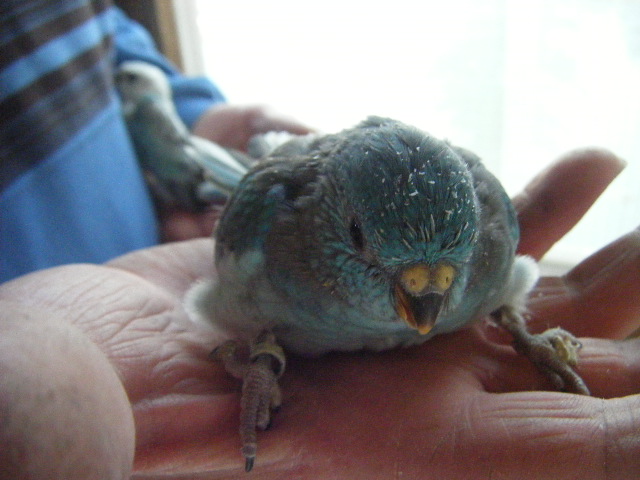 DSCF3704.JPG