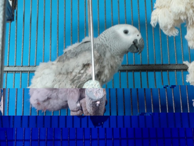 P1020251.JPG
