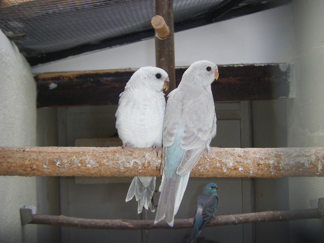 DSCF3719.JPG