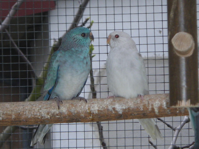 DSCF3720.JPG
