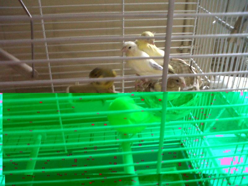 IMG00056-20100511-1910.jpg