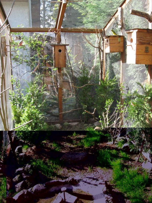 010.jpg (237.36 Kio) Vu 3022 fois 010.jpg