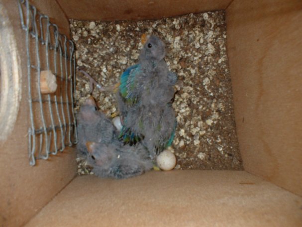 DSCF0152.JPG