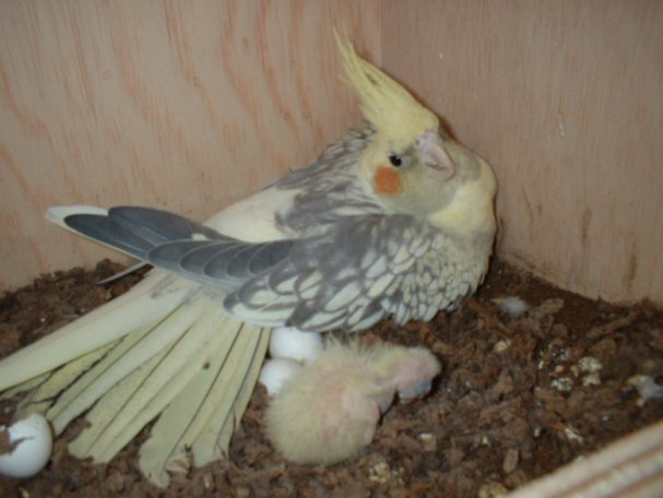 DSCF0155.JPG