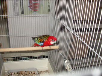 2004-04-29_0008_redimensionner.JPG