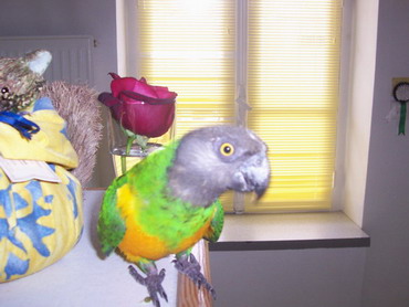 000_0877.jpg