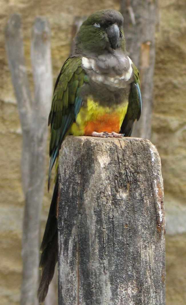 2010 040.jpg