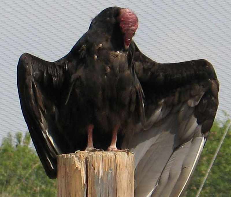 2010 072.jpg