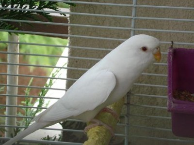 P5.jpg