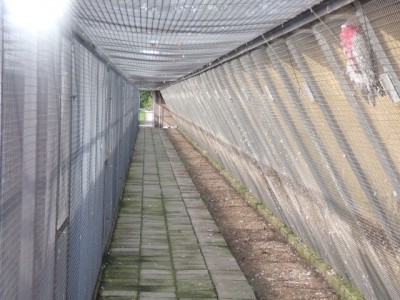 DSCF2729.JPG