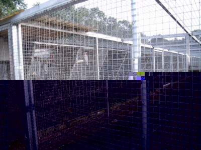 DSCF2790.JPG