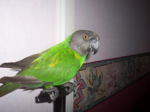 000_0923.jpg