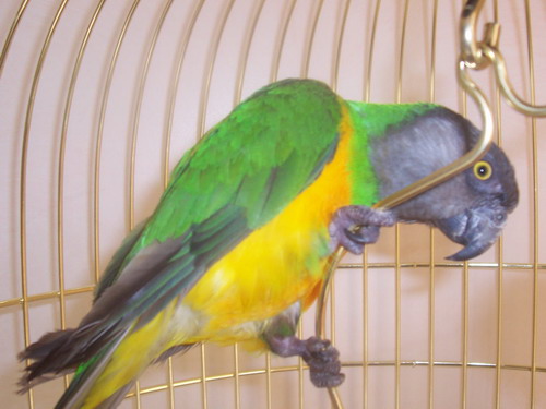 000_0901.jpg