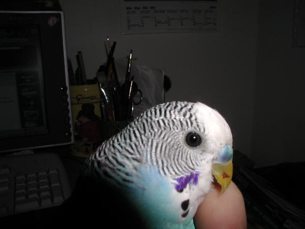 P100675.jpg