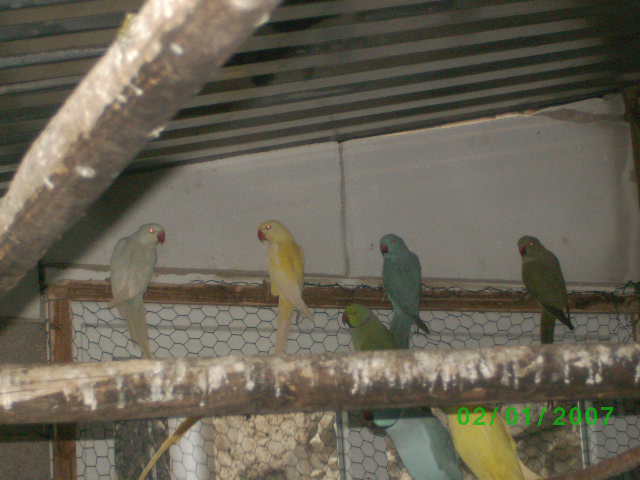 BILD2302.JPG