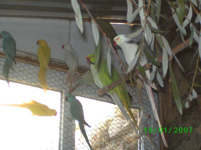 BILD2356.JPG