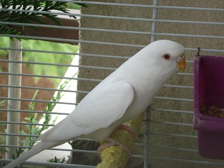 P5.jpg