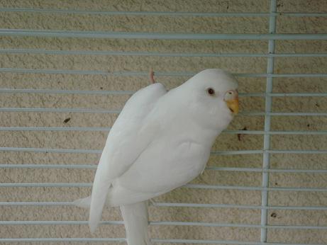 PP4.jpg
