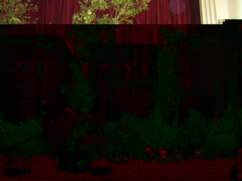 006nvc.jpg