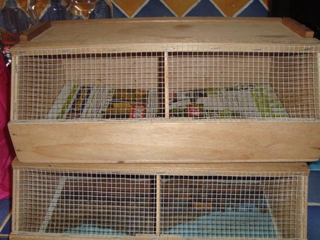 cageotde transport AVEC SEPRATIONS AMOVIBLES (Small).JPG