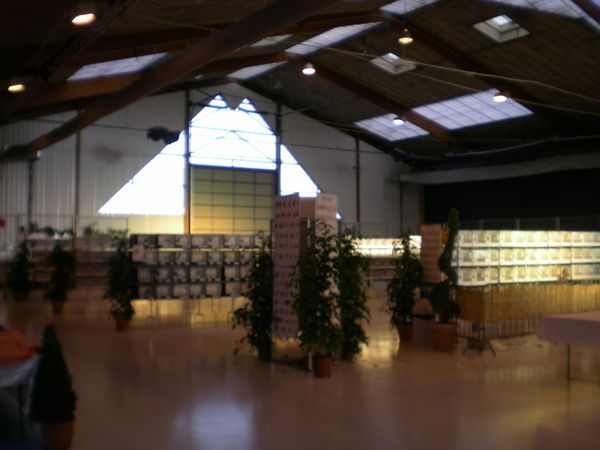 DSCN4931.JPG
