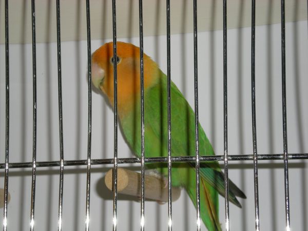 DSCN4936.JPG
