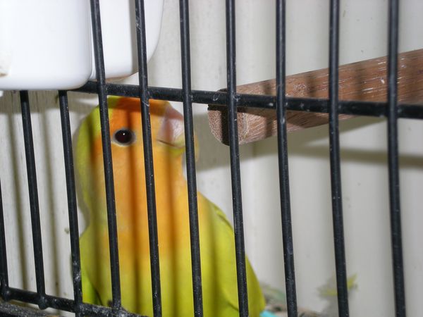 DSCN4938.JPG