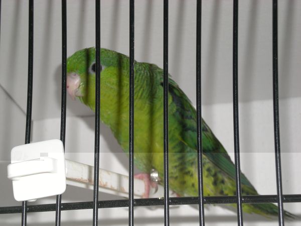 DSCN4940.JPG