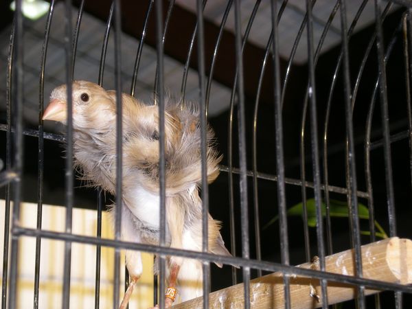 DSCN4946.JPG