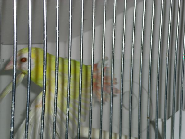 DSCN4949.JPG