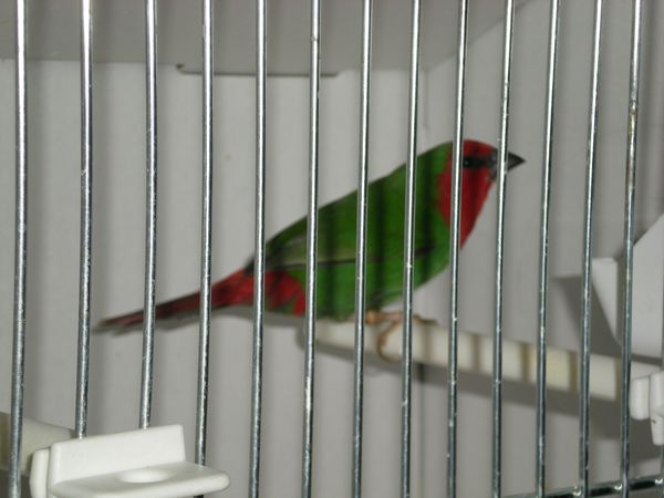 DSCN4952.JPG