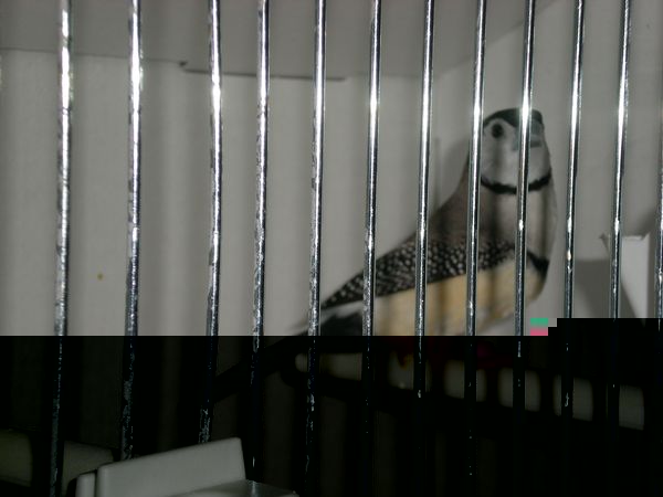 DSCN4953.JPG