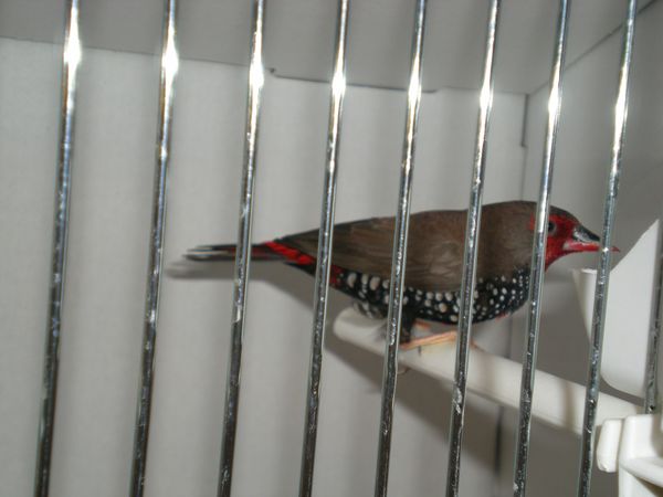 DSCN4958.JPG