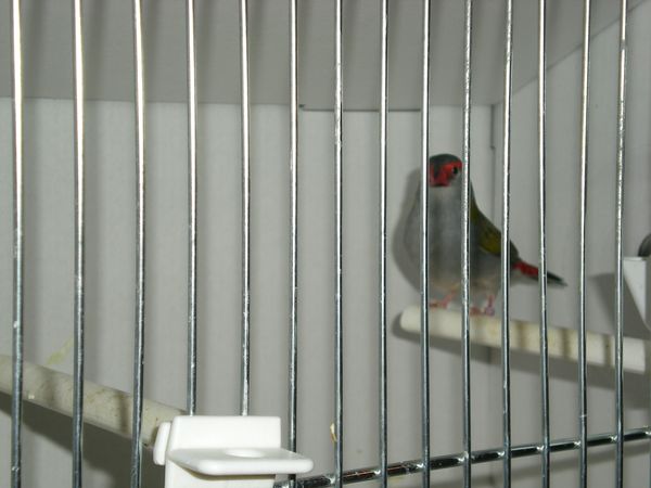 DSCN4966.JPG