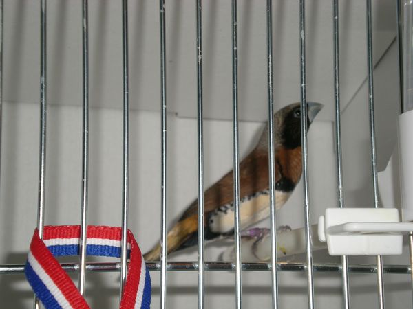 DSCN4970.JPG