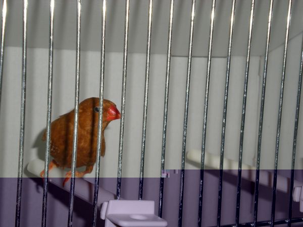DSCN4971.JPG