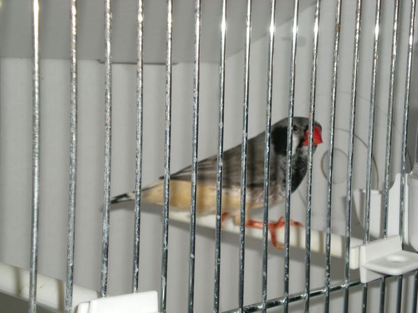 DSCN4976.JPG