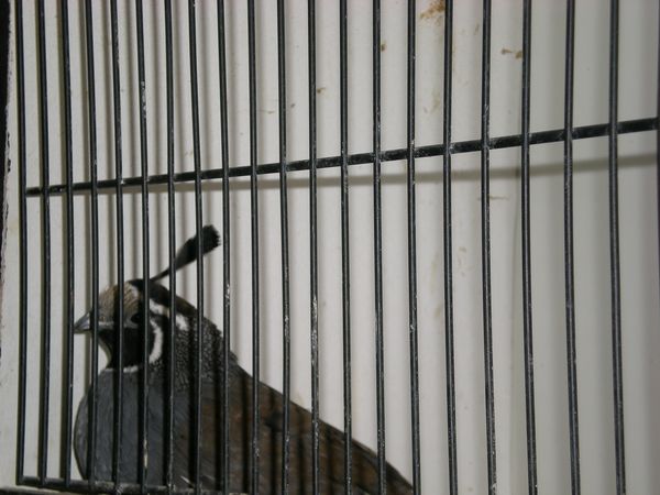 DSCN4982.JPG