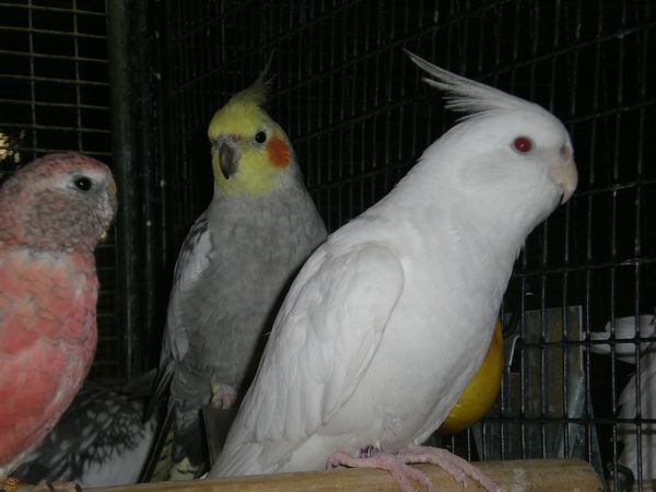 DSCN4991.JPG