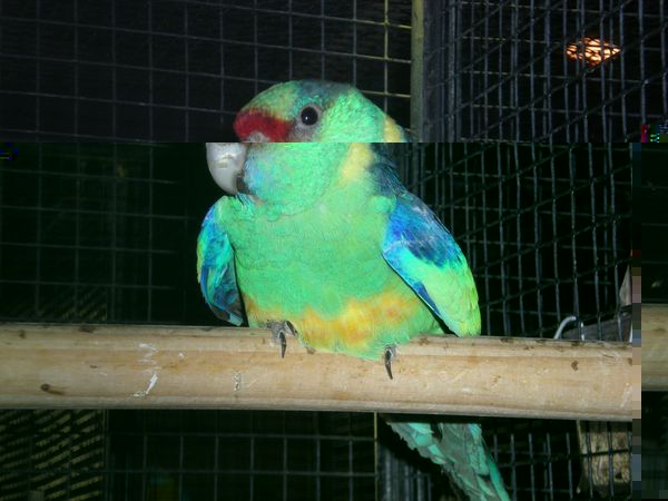 DSCN4994.JPG