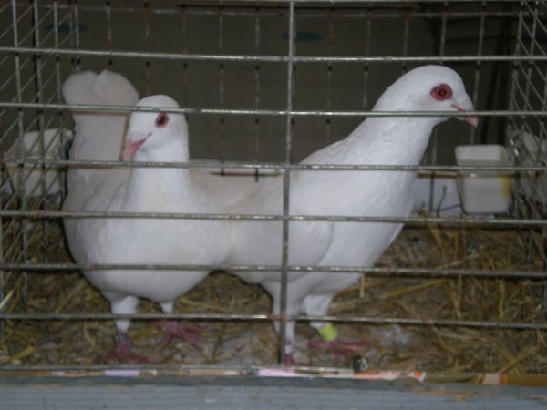 DSCN5003.JPG