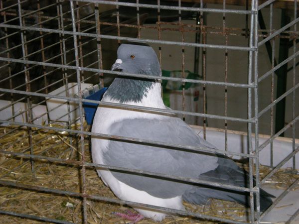 DSCN5005.JPG