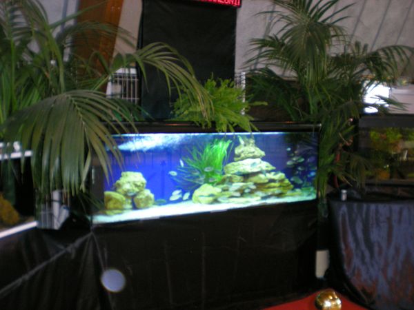 DSCN5008.JPG