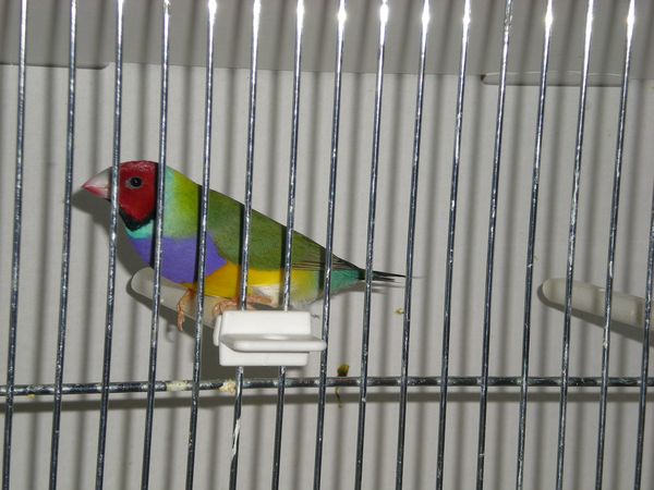 DSCN5019.JPG