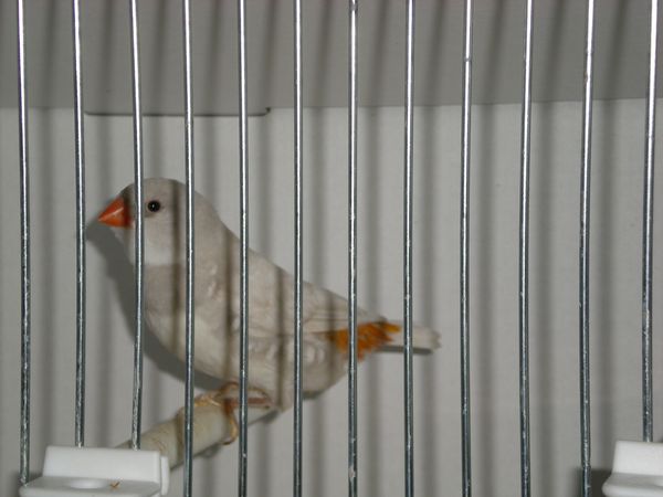 DSCN5020.JPG