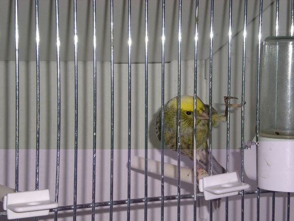 DSCN5024.JPG