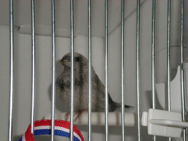 DSCN5026.JPG