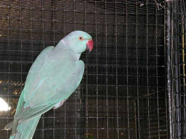 DSCN5030.JPG