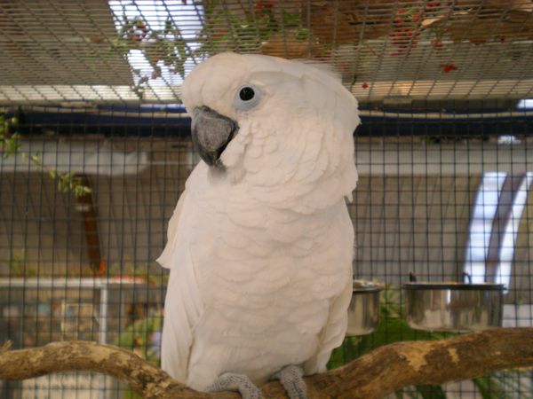 DSCN5042.JPG