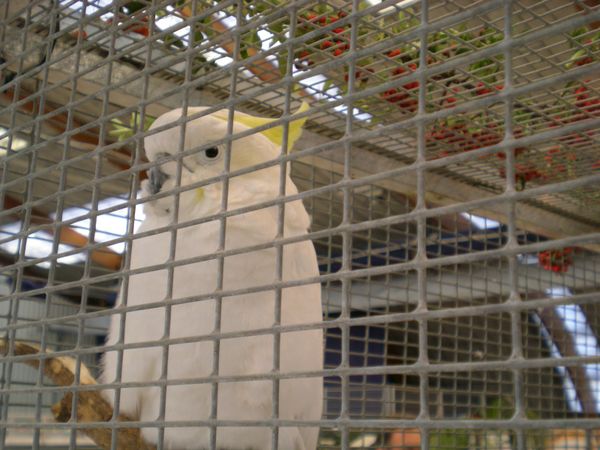 DSCN5043.JPG
